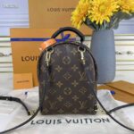 Louis Vuitton LV Unisex Palm Springs Mini Monogram Coated Canvas Textile Lining - immagine 3