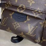 Louis Vuitton LV Unisex Palm Springs Mini Monogram Coated Canvas Textile Lining - immagine 6