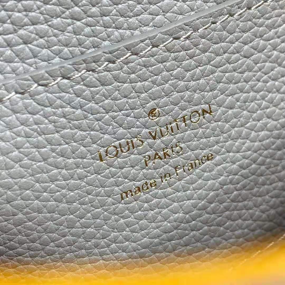 Louis Vuitton LV Pont 9 Soft MM bag – The Happy Closet