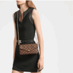 Louis Vuitton LV Women Félicie Pochette Brown Damier Ebene Coated Canvas - Image 10