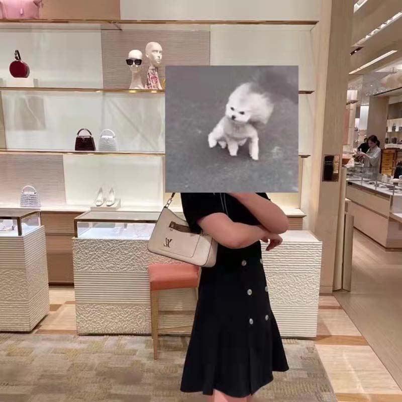 Louis Vuitton LV Women Marelle Handbag Quartz White Epi Grained Cowhide  Canvas - LULUX