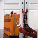 Louis Vuitton LV Unisex NBA Handle Soft Trunk No. 7 Saffron Cowhide Calf – Bild 4