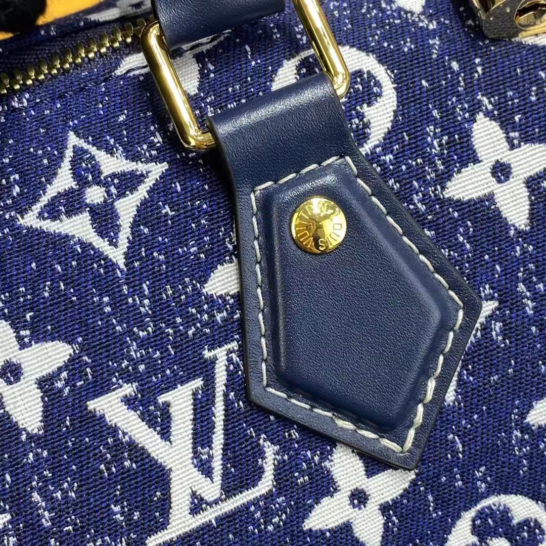 25 Louis Vuitton Purse Styles - bluegraygal