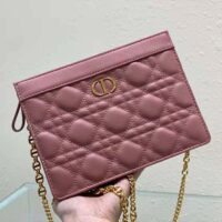 Dior Women Caro Zipped Pouch with Chain Cedar Green Supple Cannage Calfskin-pink (1)