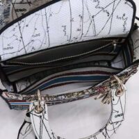 Dior Women Medium Lady D-lite Bag Latte Multicolor Dior Constellation Embroidery-white (1)