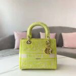 Dior Women Medium Lady D-lite Bag Lime Toile De Jouy Reverse Embroidery – Bild 4