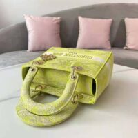 Dior Women Medium Lady D-lite Bag Lime Toile de Jouy Reverse Embroidery (1)