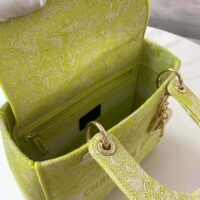 Dior Women Medium Lady D-lite Bag Lime Toile de Jouy Reverse Embroidery (1)