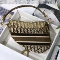 Dior Women Saddle Bag Brown Dior Oblique Embroidery (1)