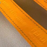 Fendi Women Mon Tresor Leather and Mesh Mini-bag-orange (1)