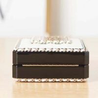 Chanel CC Women Evening Bag Lambskin Plexi Gold-Tone Metal Black White (3)