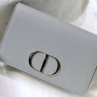 Dior Women 30 Montaigne 2-in-1 Pouch Stone Grained Calfskin-silver (1)