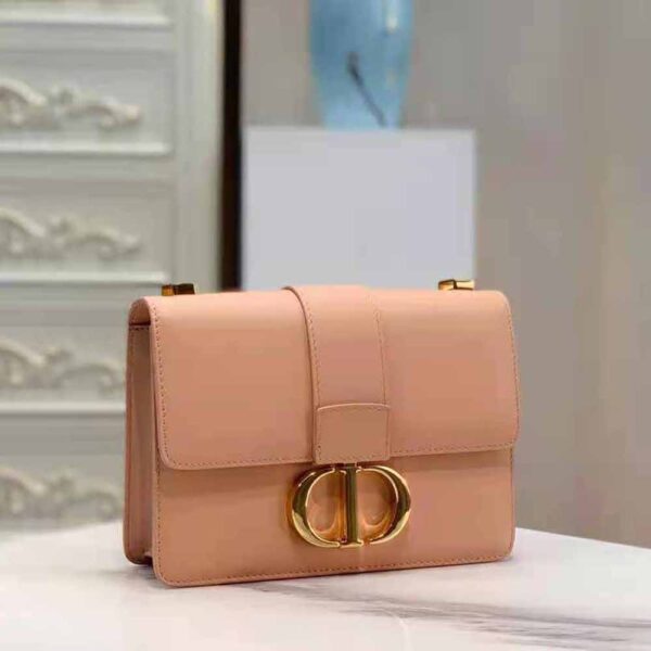 Dior Women 30 Montaigne Bag Des Vents Box Calfskin-pink (4)