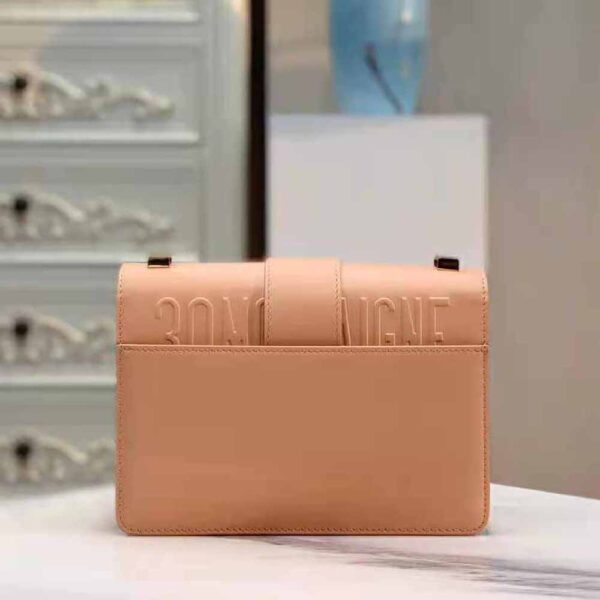 Dior Women 30 Montaigne Bag Des Vents Box Calfskin-pink (6)
