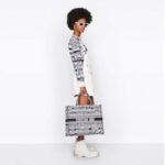 Dior Women CD Large Book Tote Navy Blue Toile De Jouy Stripes Embroidery - Image 12