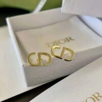 Dior Women Petit CD Studs Earrings Gold-Finish Metal (1)