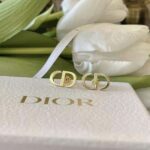 Dior Women Petit CD Studs Earrings Gold-Finish Metal - Bild 4