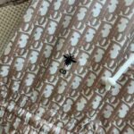 Dior Women Short Hooded Dress Rose Des Vents Technical Taffeta Jacquard - Bild 9