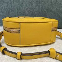 Fendi Women Mini Camera Case Yellow Leather and Suede Mini-Bag (1)