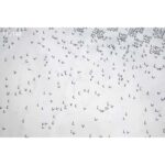 Louis Vuitton LV Men Damier Spread Windbreaker Polyester Optical White Regular Fit - immagine 7