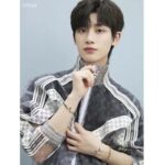 Louis Vuitton LV Men Organza Track Top Polyester Translucent Regular Fit – Bild 10