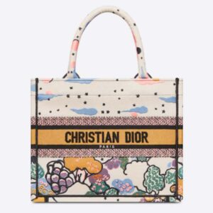 Dior Unisex CD Small Dior Book Tote Latte Dior Ciel De Rêve Embroidery