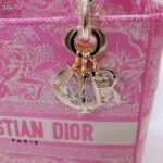 Dior Women CD Medium Lady D-Lite Bag Fluorescent Pink Toile De Jouy Reverse Embroidery - Bild 9