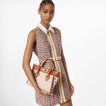 Louis Vuitton Women On My Side PM Tote Bag Brown Canvas Smooth Cowhide - Imagen 12