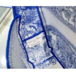 Dior Unisex CD Small Diorcamp Bag Transparent Canvas Fluorescent Blue Toile De Jouy - immagine 9