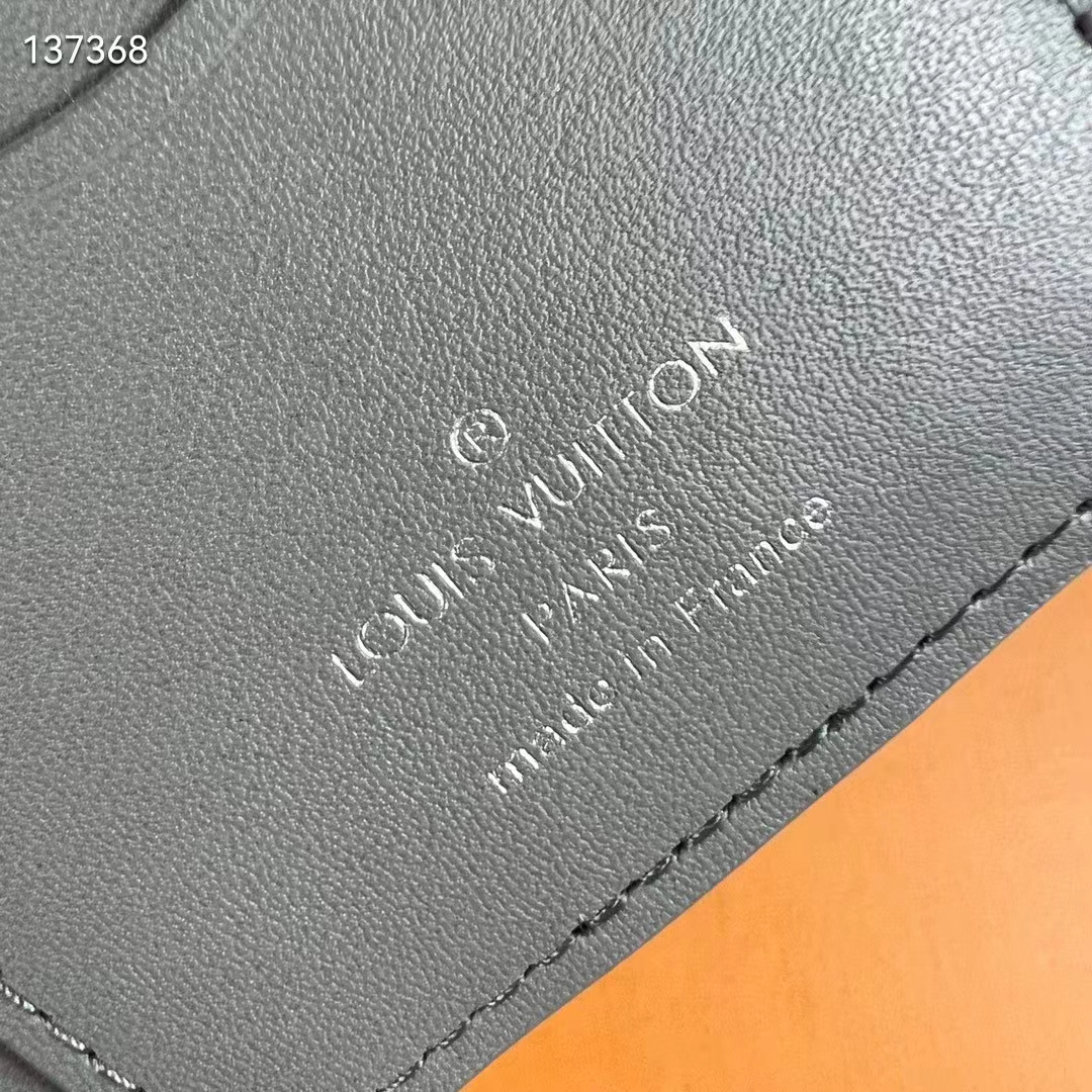 Louis Vuitton LV pocket organiser new Shadow Grey Leather ref.511113 - Joli  Closet