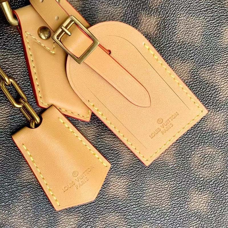 Louis Vuitton Monogram Blurry Neo Lockit