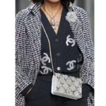 Chanel Women CC Wallet On Chain Embroidered Satin Sequins Gold-Tone Metal White Silver - Image 14