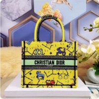 Dior Unisex CD Small Book Tote Yellow Multicolor Dior Pixel Zodiac Embroidery (5)