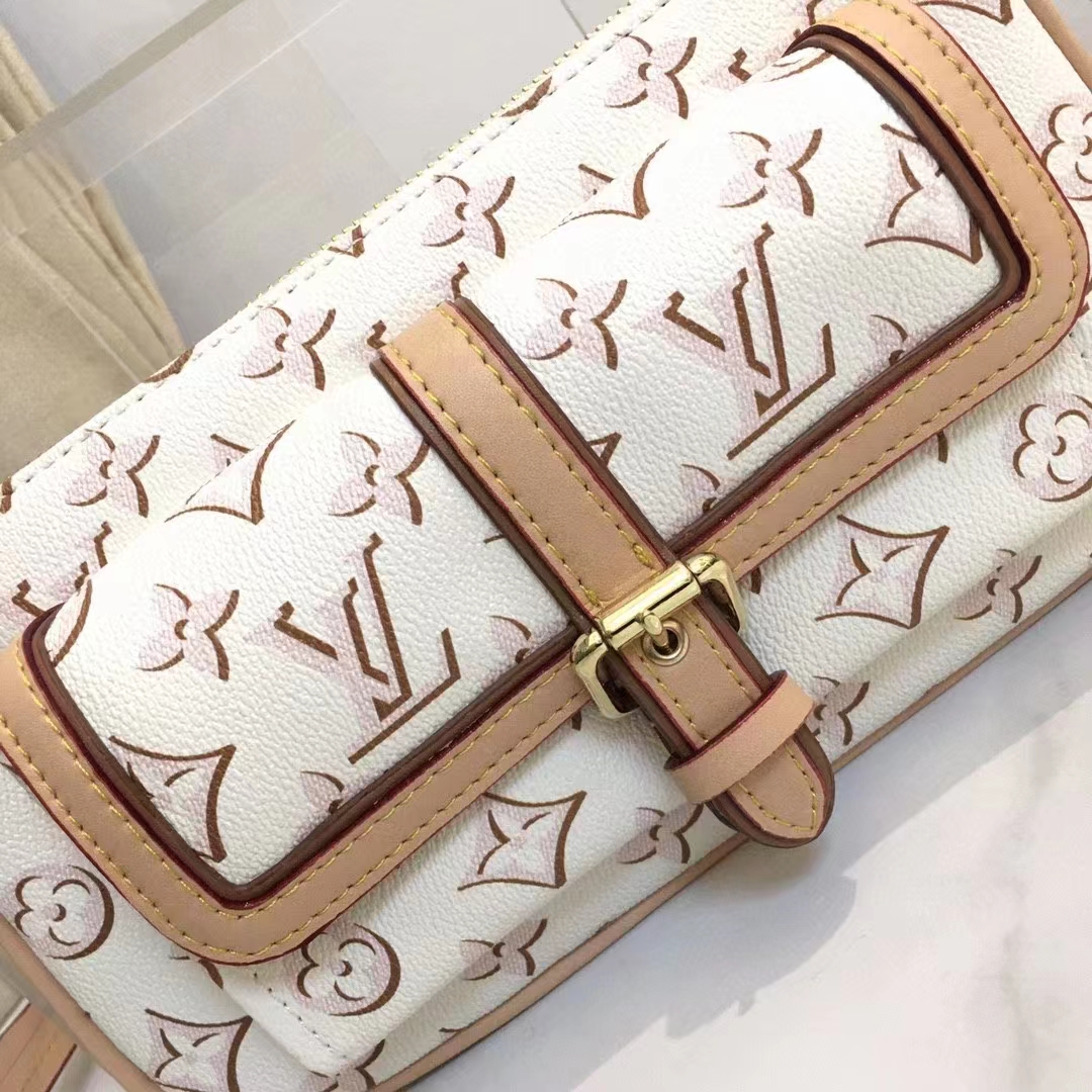 M20920 Louis Vuitton Monogram Canvas Maxi Multi Pochette