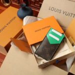 Louis Vuitton LV Unisex Coin Card Holder Monogram Macassar Coated Canvas Green - Image 3