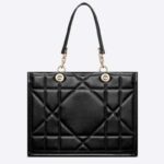 Sac cabas Dior Essential CD Medium pour femme en cuir de veau noir Archicannage