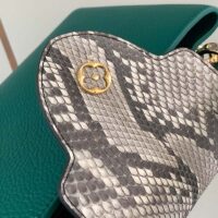 Louis Vuitton LV Women Capucines BB Handbag Green Taurillon Python Skin Leather (11)