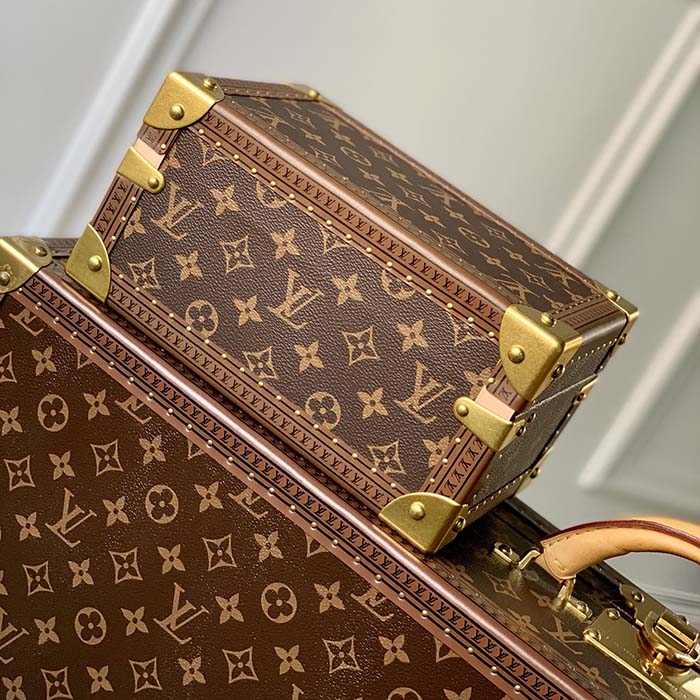 Vintage Louis Vuitton Brown Monogram Leash and Collar – Treasures of NYC