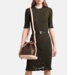 Louis Vuitton LV Women Noé BB Bucket Bag Monogram Coated Canvas Cowhide Leather - Image 11