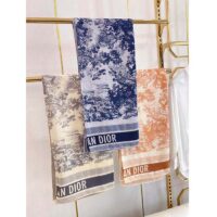 Dior CD Women Toile De Jouy Sauvage Square 90 Scarf Ivory Navy Blue Silk Twill (1)