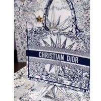 Dior Unisex CD Medium Book Tote White Blue Rêve D’Infini Embroidery (3)