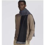 Dior Unisex CD Oblique Scarf Black Gray Wool Fringed Edging Wool - immagine 11