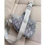 Dior Unisex CD Saddle Bag Dior Gray CD Diamond Canvas Smooth Calfskin - Image 6