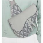 Dior Unisex CD Saddle Bag Dior Gray CD Diamond Canvas Smooth Calfskin - Image 11