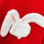 Dior Men CD By Erl Sweater Rabbit Patch Red Cotton-Blend Jersey Round Neck – Bild 4