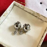 Dior Women Tribales Earrings Silver and Silver-Tone Crystals (1)