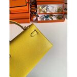 Hermes Women Mini Kelly 20 Bag Suede Leather Gold Hardware-Gold - Image 8