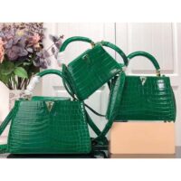 Louis Vuitton LV Women Capucines Mini Handbag Green Crocodilien Brillant Savoir Faire (1)