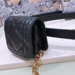 Dior Unisex CD Dior Caro Belt Removable Pouch Black Smooth Calfskin Cannage 15 MM - immagine 5