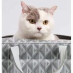 Dior Unisex CD Hit The Road Pet Carrier Bag Gray Diamond Canvas Smooth Calfskin - immagine 11
